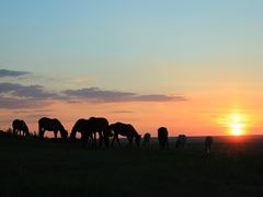 -呼和诺尔旅游景区