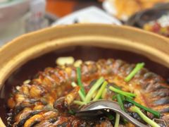 煎焗白鳝-百鱼庄(仙葫店)