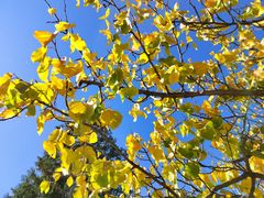 -北京西山国家森林公园