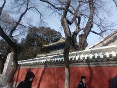 -北京国子监胡同