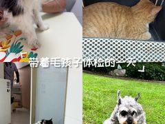 -立德24H动物医院·夜诊·转诊中心·1.5T核磁共振(海珠店)