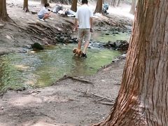 -白水寺森林公园