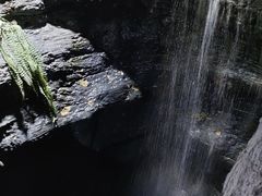-江和美海洋公园