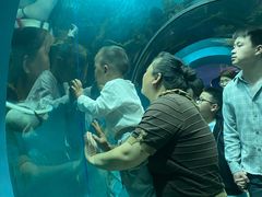 -苏州海洋馆