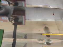 -移动谜城·大笨象密室逃脱(五棵松店)