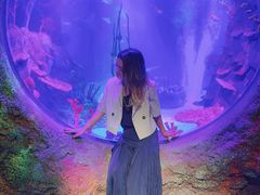 -沈阳海洋探索中心