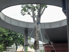-武汉动物园