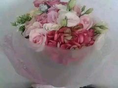 -开心草帽(文化西路店)