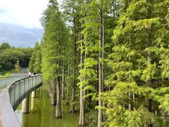 -青山湖景区