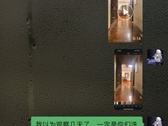 -有宠宠物(YOUCOIN·未来店)