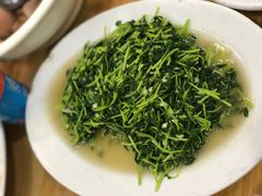 清炒豆苗-长平肥姐白粥·海鲜打冷