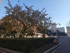 -长春市十一高中