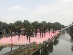-苏州太湖西山岛开心农场