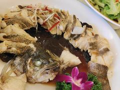 -博雅渔港·融合菜(维也纳国际大酒店)