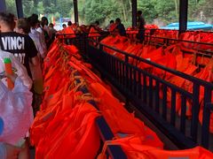 -将军关探险漂流