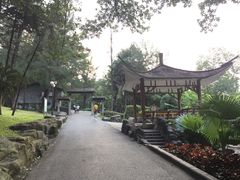 -晓港公园