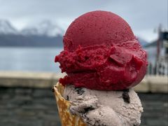 -Patagonia Chocolates(皇后镇店)