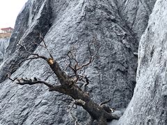 -墨石公园景区