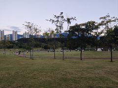 -牛岗山公园