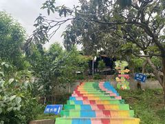 -桃源山庄·水蜜桃采摘·柴火鸡·烧烤团建(龙泉山店)
