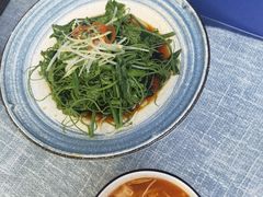 丝瓜苗-后海16号·北京私房菜