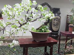 -成都杜甫草堂博物馆