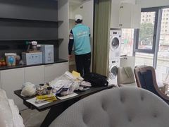 -Liteclear日本进口强效除甲醛检测治理(旗舰店)