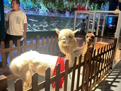 -常州海昌海洋探索馆