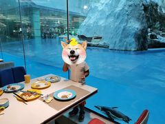 -帝企鹅自助餐厅•儿童岛•真企鹅(长隆企鹅酒店)