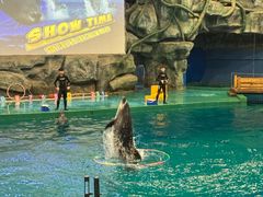 -威海华夏城景区