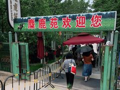 -北京麋鹿生态实验中心