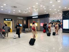 -米兰马尔彭萨国际机场