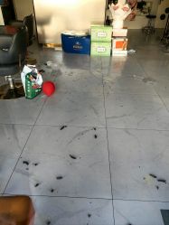 -北京柏丽美容美发