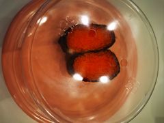 -争鲜回转寿司(通州万达店)