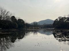 -长广溪湿地公园