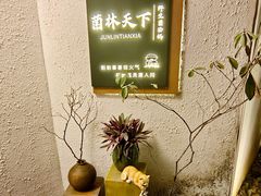 -菌林天下·野生菌汤锅