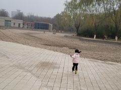 -金星公园