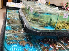 水产区-渔码头食府·20年蓬莱老字号(登州路店)