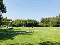 -春晖园度假酒店温泉