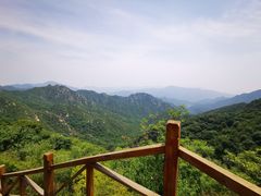 -大岭沟猕猴桃谷风景区