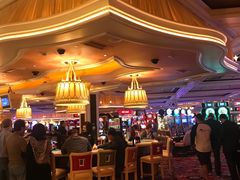 -拉斯维加斯永利酒店