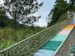 -长沙黑麋峰国家森林公园