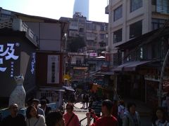 -猫咪博物馆(顶澳仔猫街店)