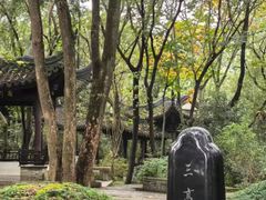 -上海佘山国家森林公园天马山园