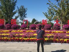 -大兴滨河森林公园