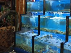 水产区-老东镇啤酒屋海鲜加工·蒸汽海鲜·海鲜烧烤(台东店)