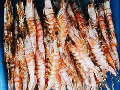 -大鹅岛绿色生态美食园