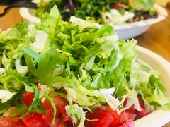 -油梨树 AVOCADO TREE(亮马桥店)