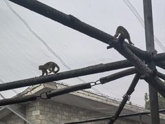 -石家庄市动物园