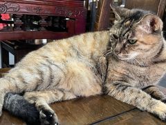 -协和菜馆(凤凰街店)